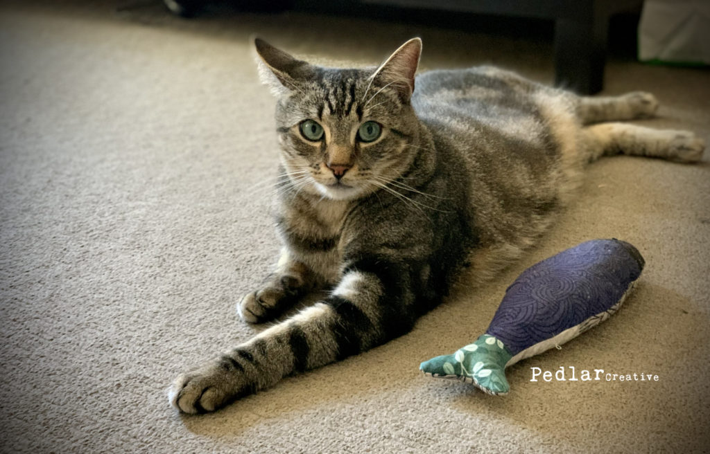 Catnip Fish
